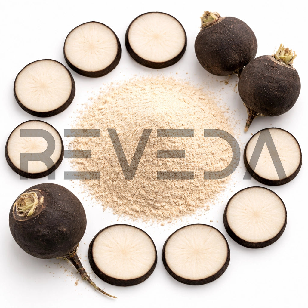 Black Radish Root Extract Powder