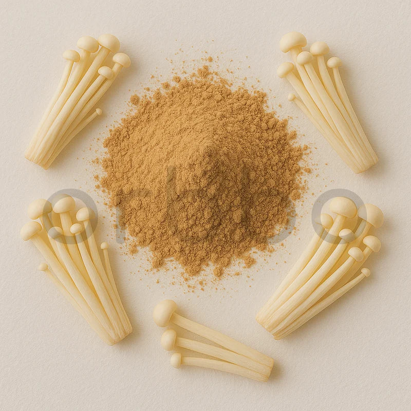 Enoki Mushroom Extract Powder