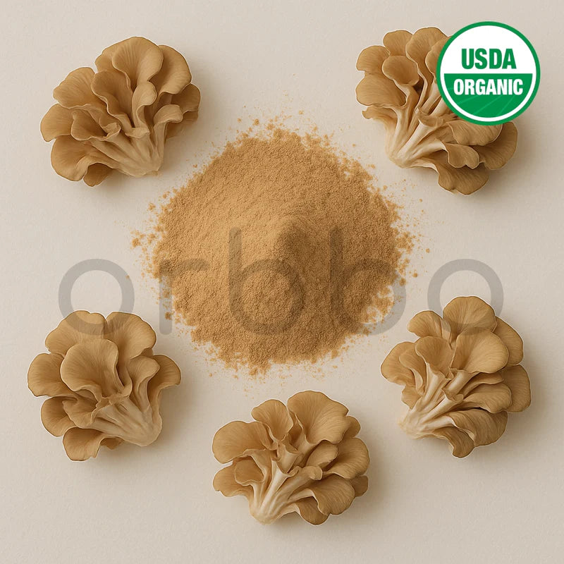 Maitake Mushroom Extract Powder