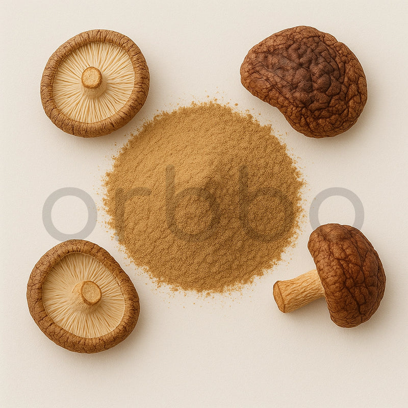 Shiitake Mushroom Powder