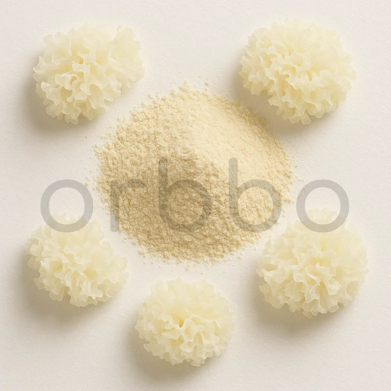 Tremella Mushroom Extract Powder