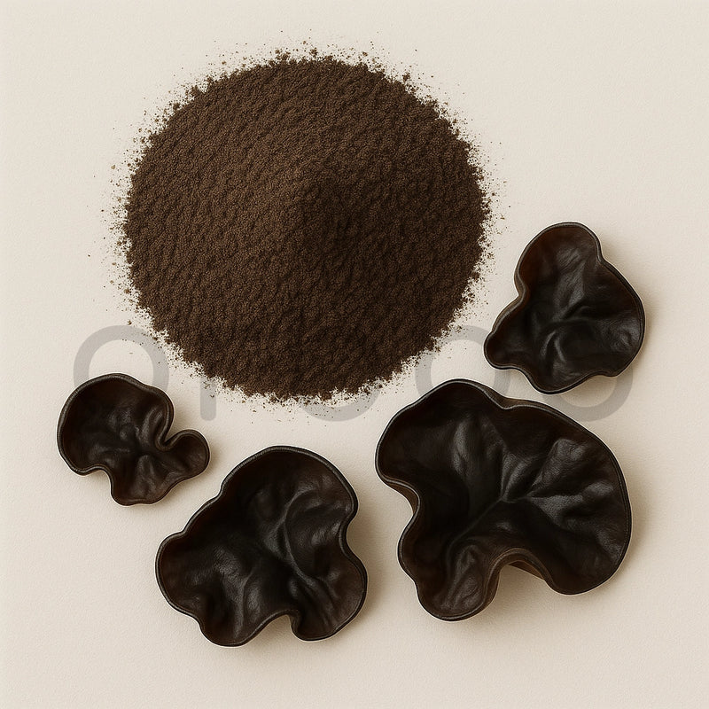 Benefits of Black Wood Ear Powder - Wholesale B2B Bulk Suppliers in USA