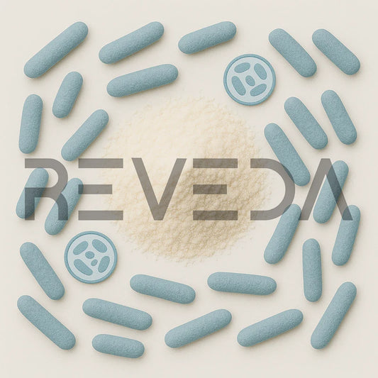 Akkermansia Muciniphila Probiotic Powder (Live)