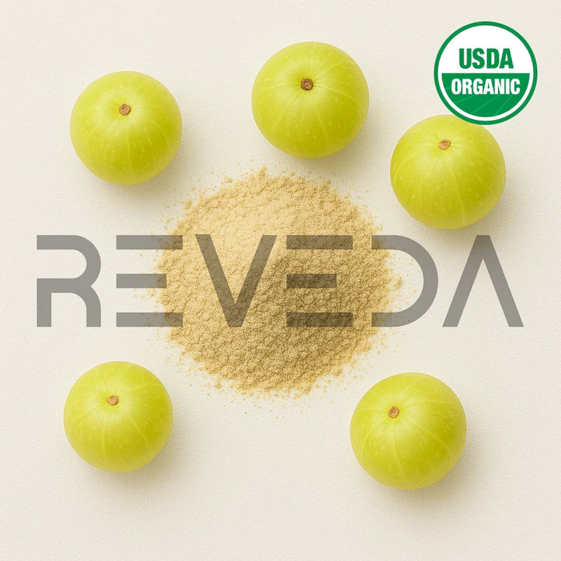 Amla Extract Powder