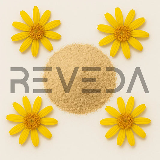 Arnica Extract Powder