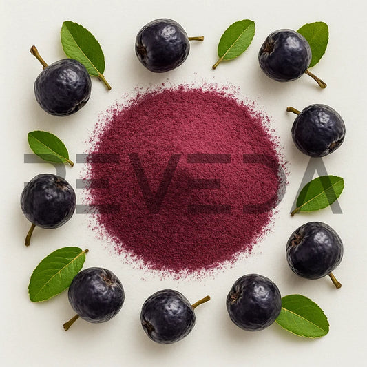 Aronia Extract Powder