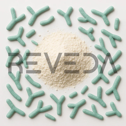 Bifidobacterium Bifidum Probiotic Powder