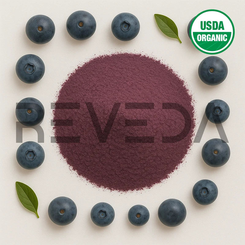 Bilberry Extract Powder