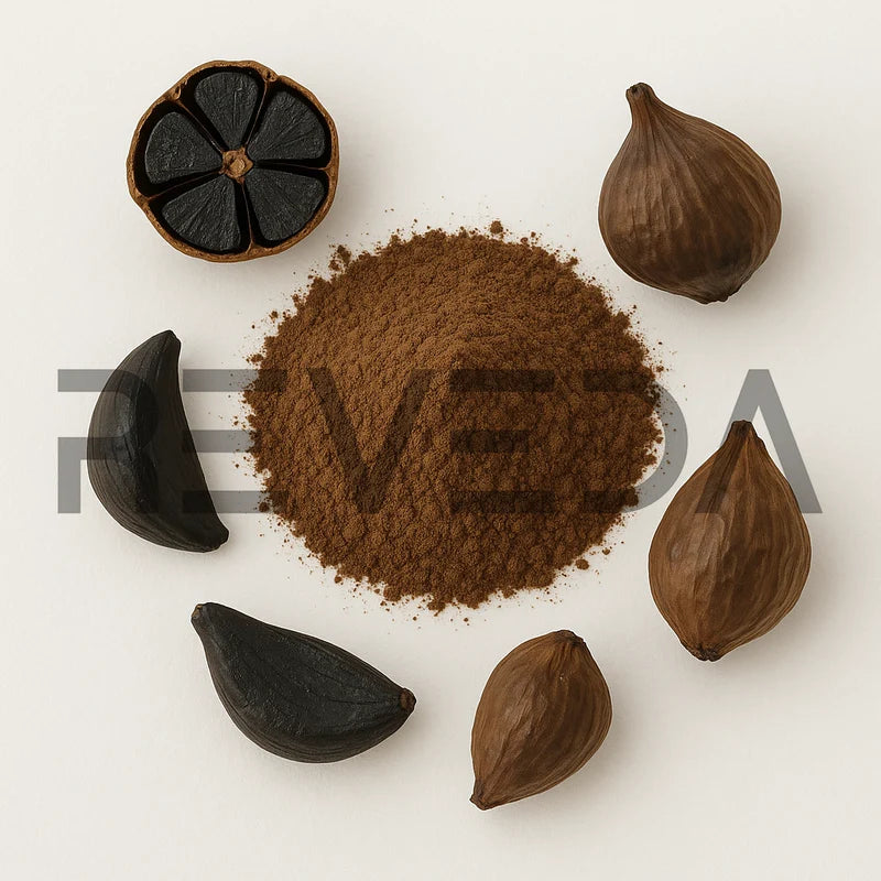 Black Garlic Extract Powder