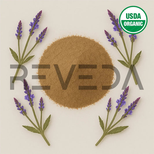 Blue Vervain Extract Powder
