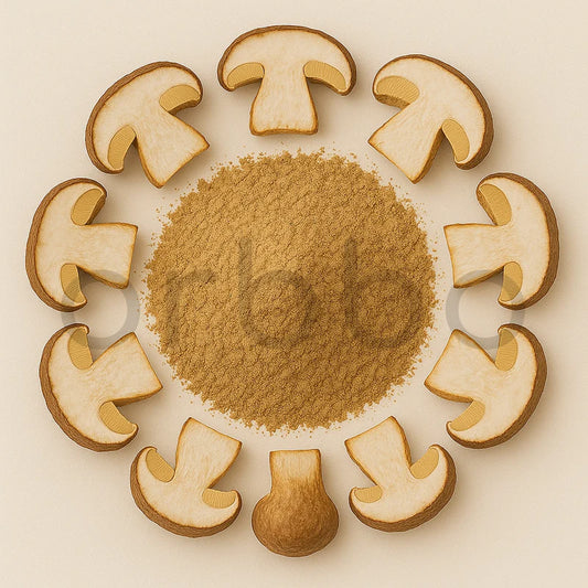 Bolete Mushroom Powder