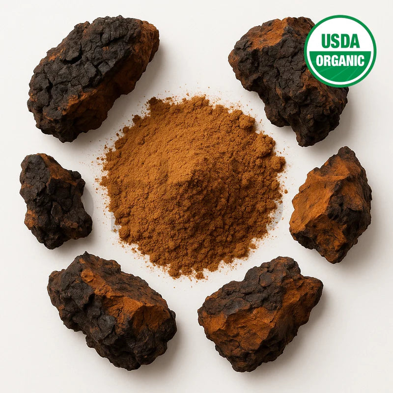 Chaga Mushroom Extract Powder