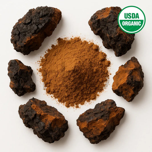 Chaga Mushroom Extract Powder