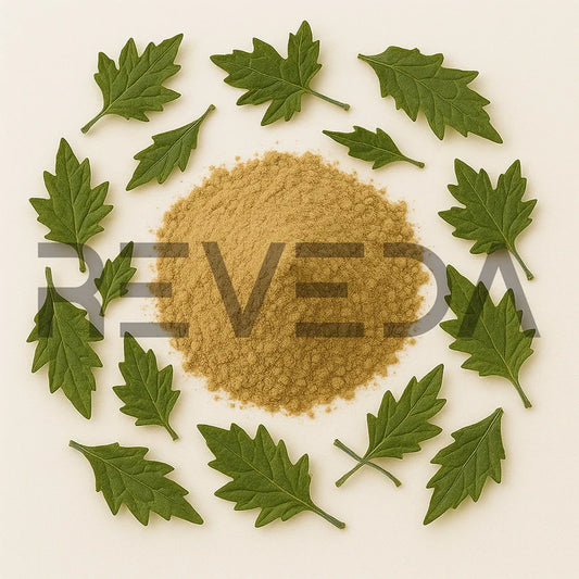 Chinese Ivy Extract Powder