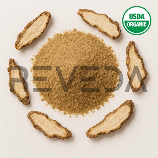 Dong Quai Extract Powder