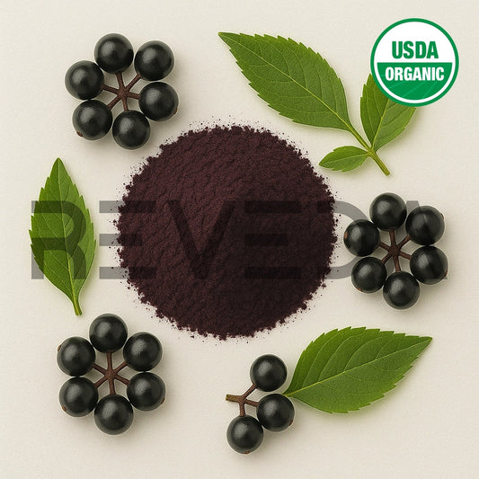 Elderberry Fruit Extract Powder