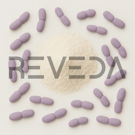Lactobacillus Brevis Probiotic Powder (GABA Support)