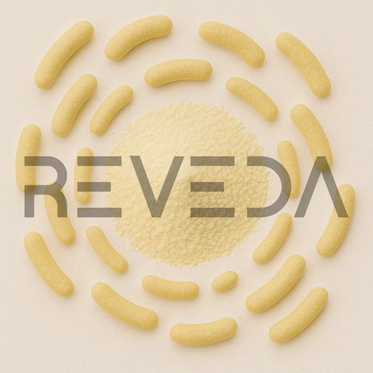 Lactobacillus Fermentum Probiotic Powder