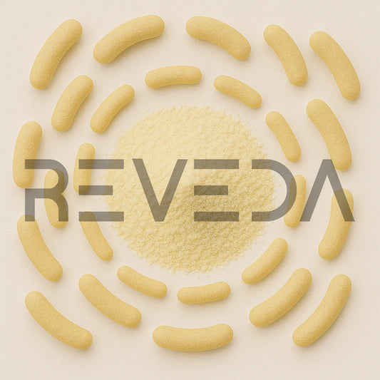 Lactobacillus Jensenii Probiotic Powder (Vagina Support)