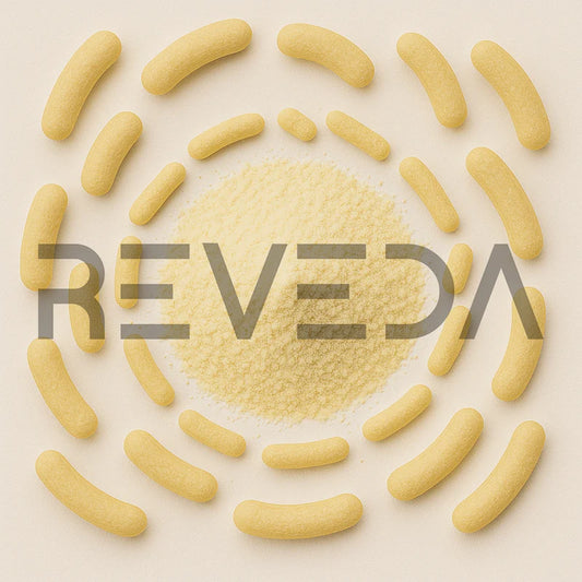 Lactobacillus Johnsonii Probiotic Powder (Acid Reflux Support)