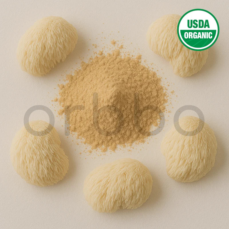 Lion's Mane Extract Powder