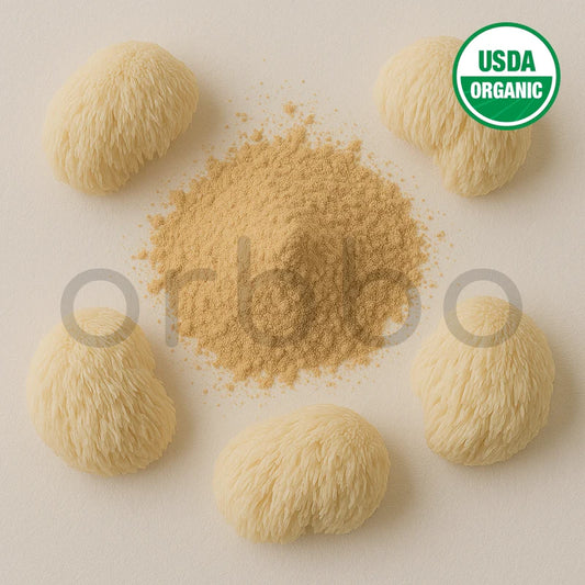 Lion's Mane Extract Powder