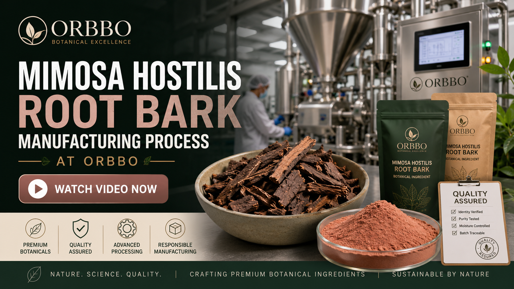 Load video: mimosa hostilis root bark (mhrb) production process
