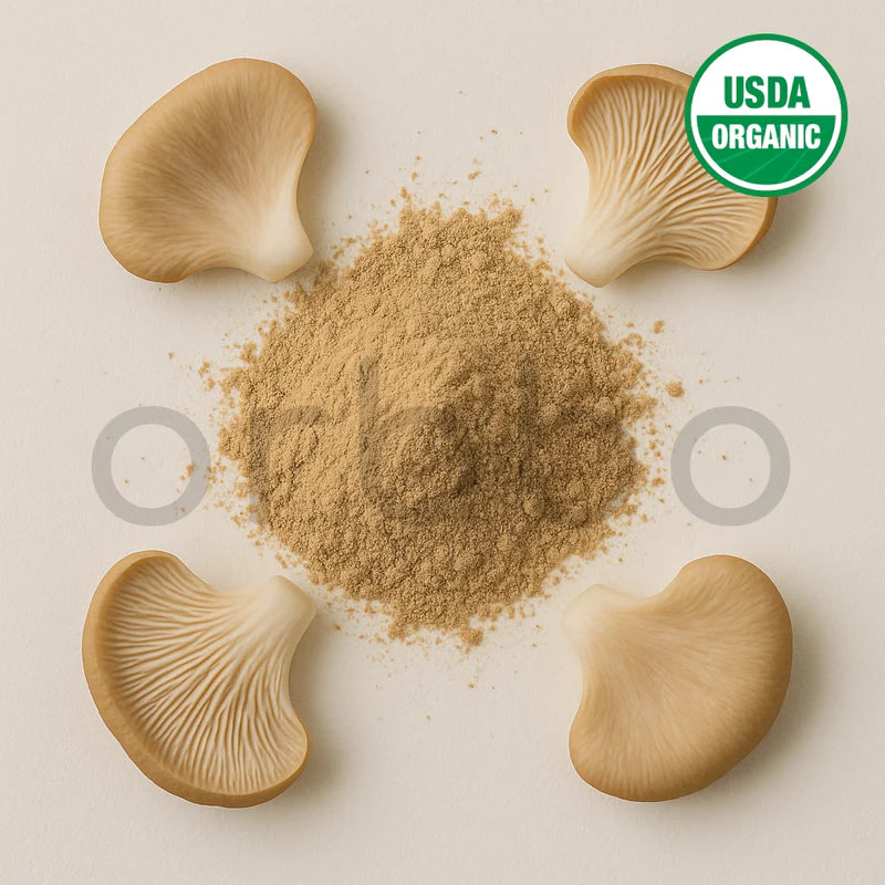 Oyster Mushroom Extract Powder