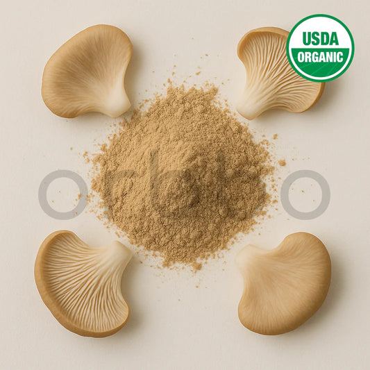 Oyster Mushroom Extract Powder