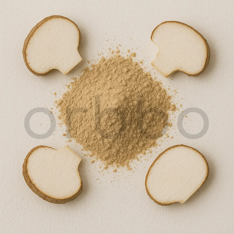 Poria Mushroom Extract Powder
