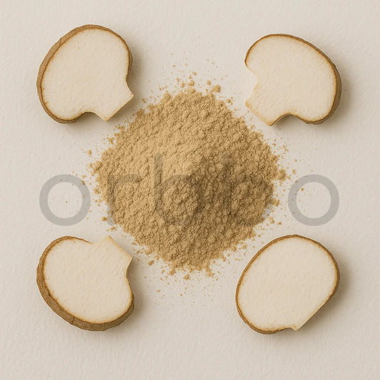 Poria Mushroom Extract Powder