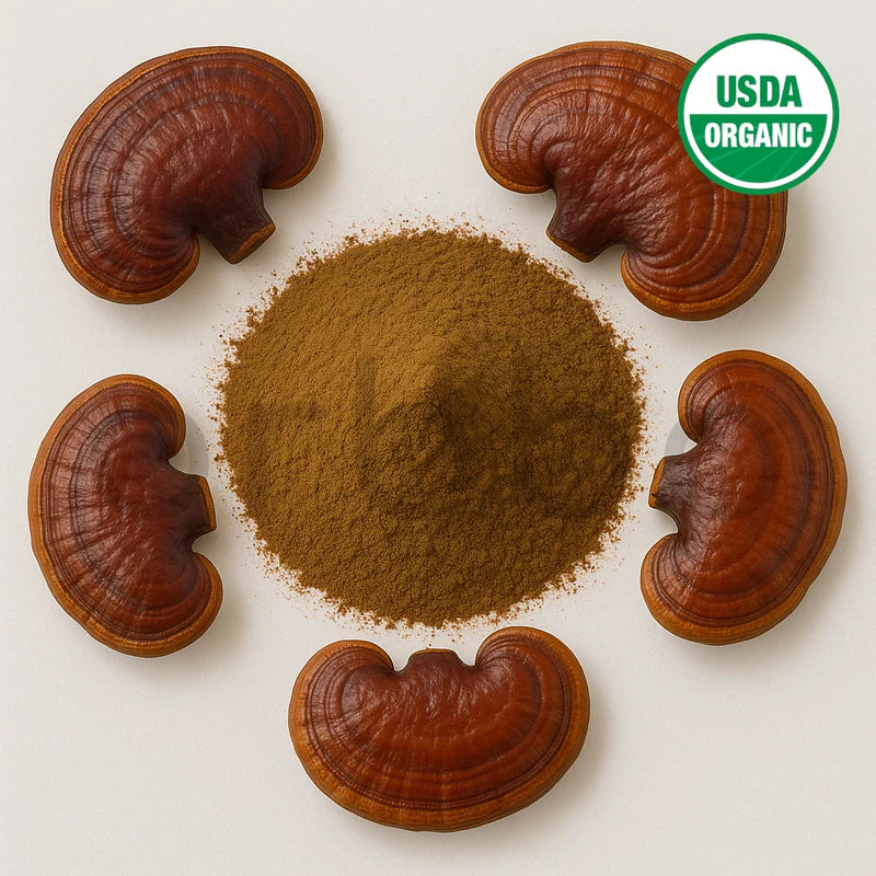 Reishi Mushroom Extract Powder