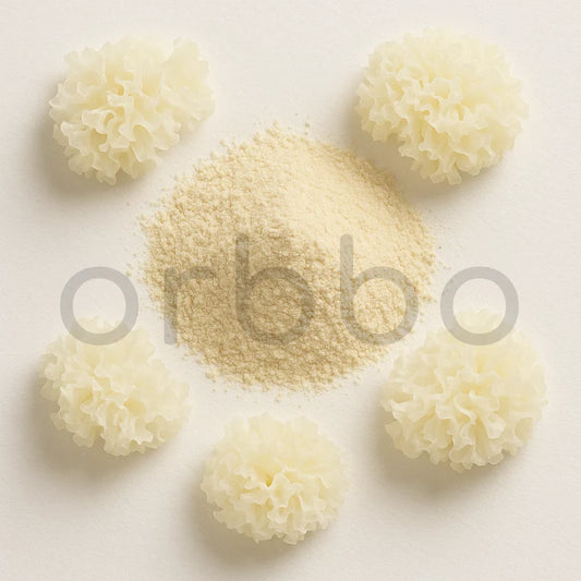 Tremella Mushroom Extract Powder