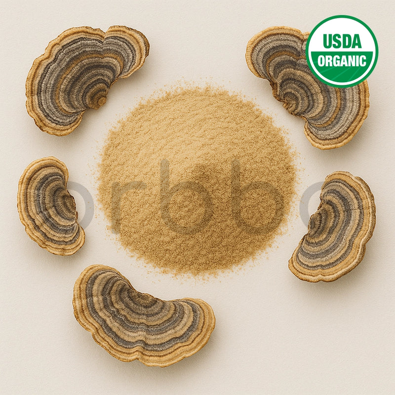 Turkey Tail Mushroom Powder