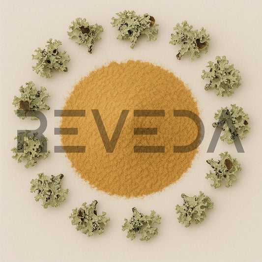 Xanthoparmelia Extract Powder