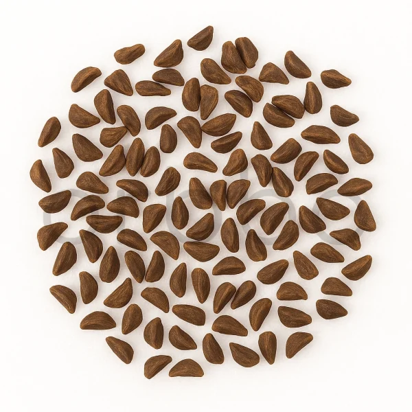 orbbo-peganum-harmala-syrian-rue-seeds-2 Peganum Harmala | Syrian Rue Seeds