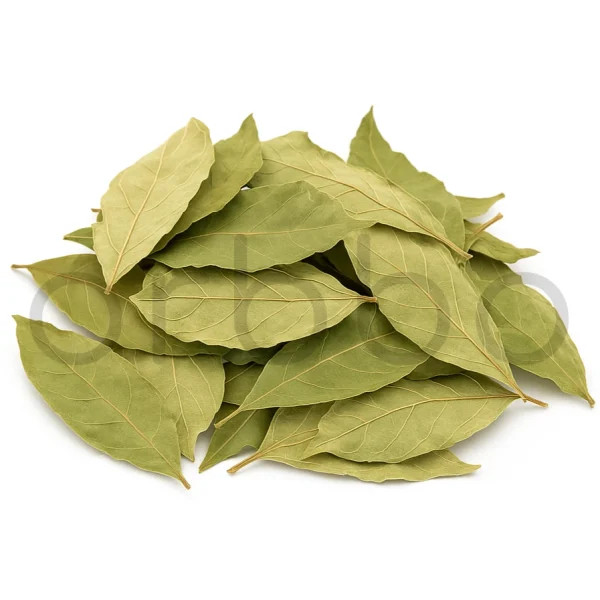 orbbo-pv-leaves Psychotria Viridis Powder | Amiruca Panga